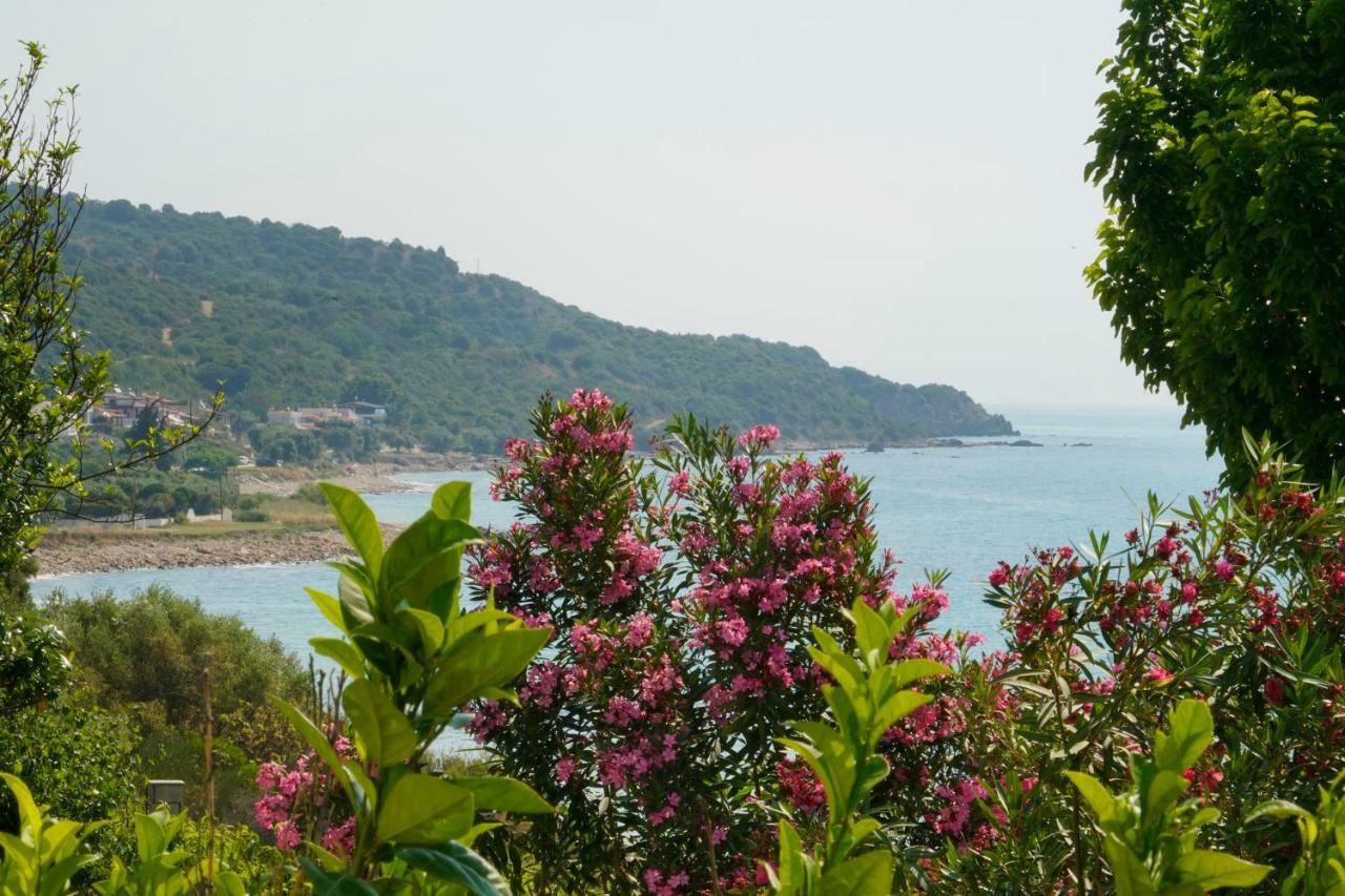 Secret Paradise Villas Λουτρά Ελευθερών Εξωτερικό φωτογραφία